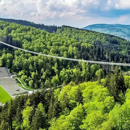 Belvita 1 Mit Hallenbad & Sauna - In Ruhiger Zentrumsrandlage Willingen (Upland)